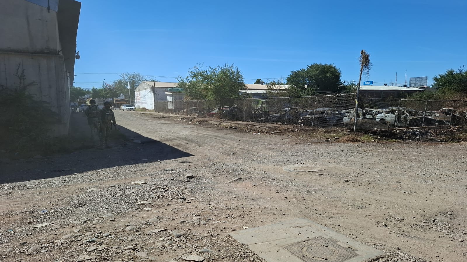 WhatsApp Image 2026-02-16 at 2.54.22 PM