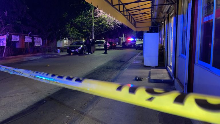 WhatsApp Image 2026-02-17 at 8.33.59 PM