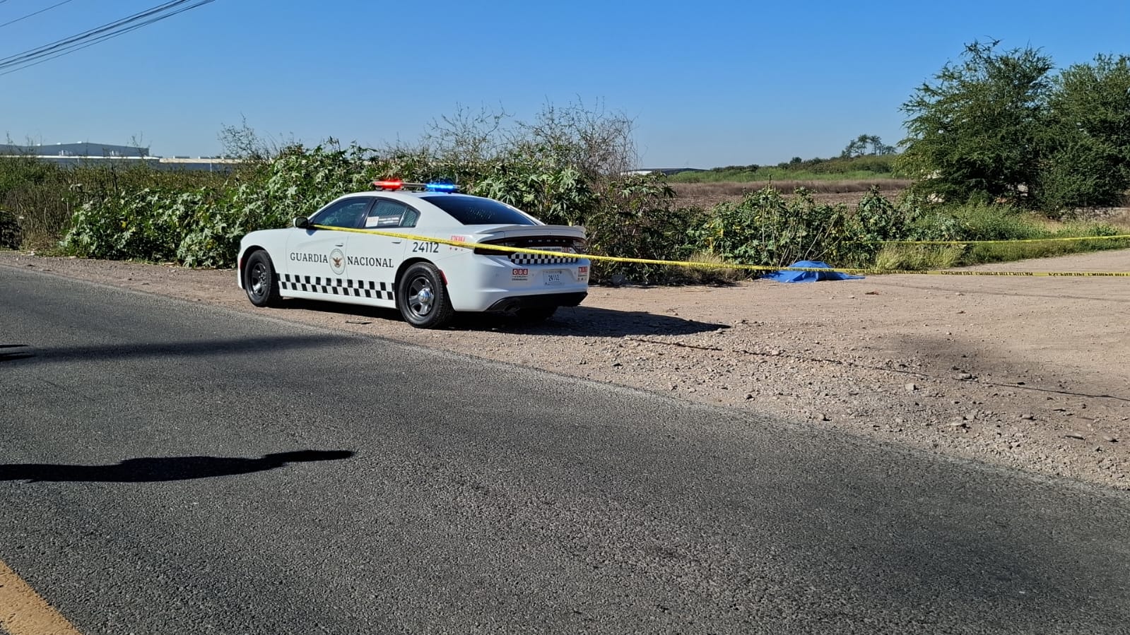 WhatsApp Image 2026-02-25 at 10.17.59 AM