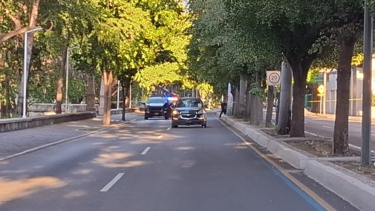 WhatsApp Image 2026-02-25 at 6.14.37 PM (2)