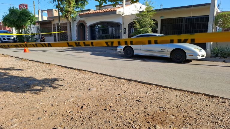 WhatsApp Image 2026-02-27 at 5.21.22 PM