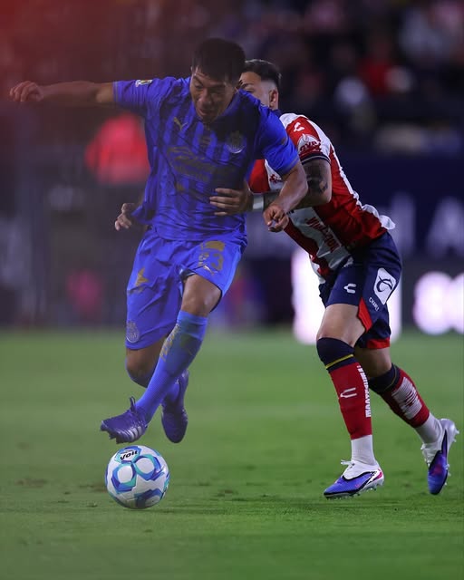 chivas