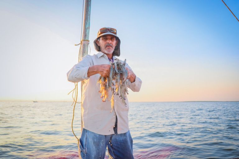 WhatsApp Image 2026-03-02 at 8.10.33 PM