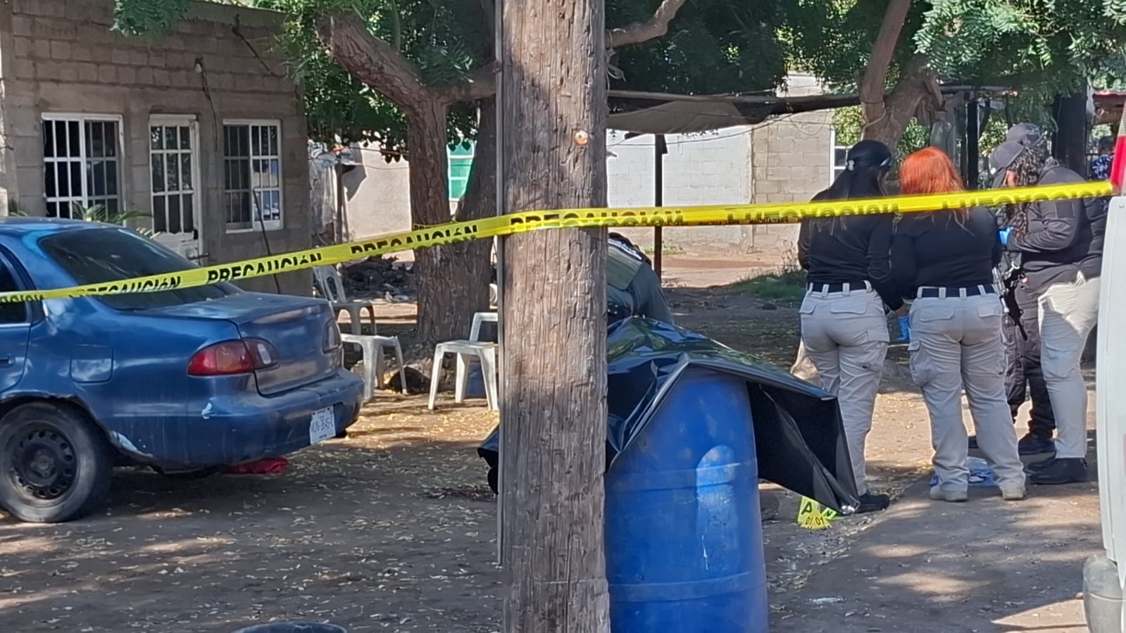 WhatsApp Image 2026-03-03 at 10.44.57 AM