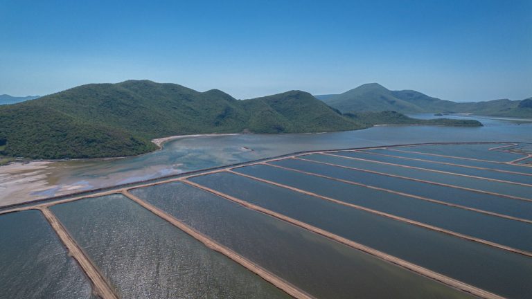 WhatsApp Image 2026-03-07 at 1.02.20 PM