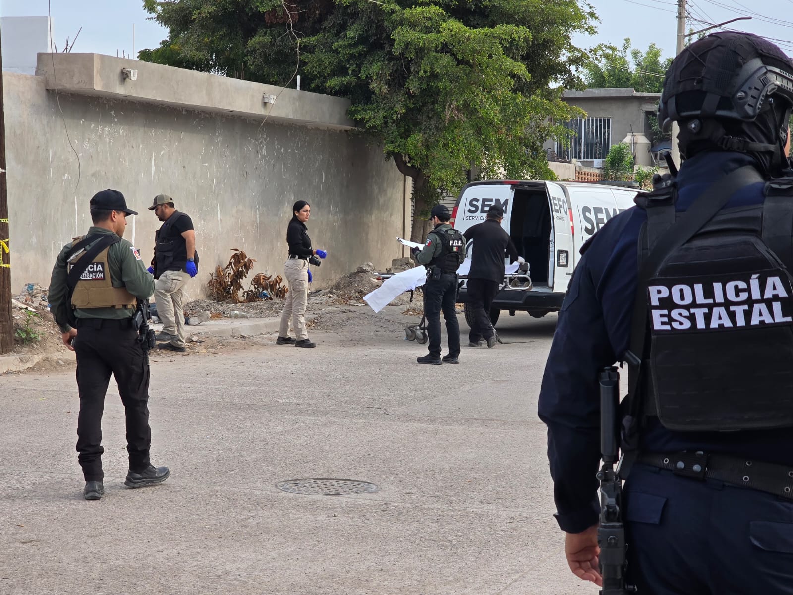 WhatsApp Image 2026-03-08 at 9.13.18 AM