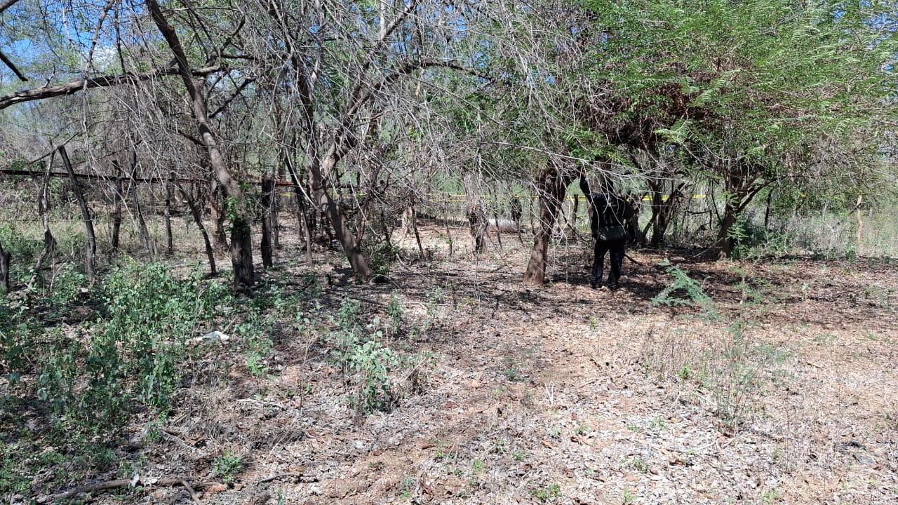 WhatsApp Image 2026-03-10 at 1.47.04 PM