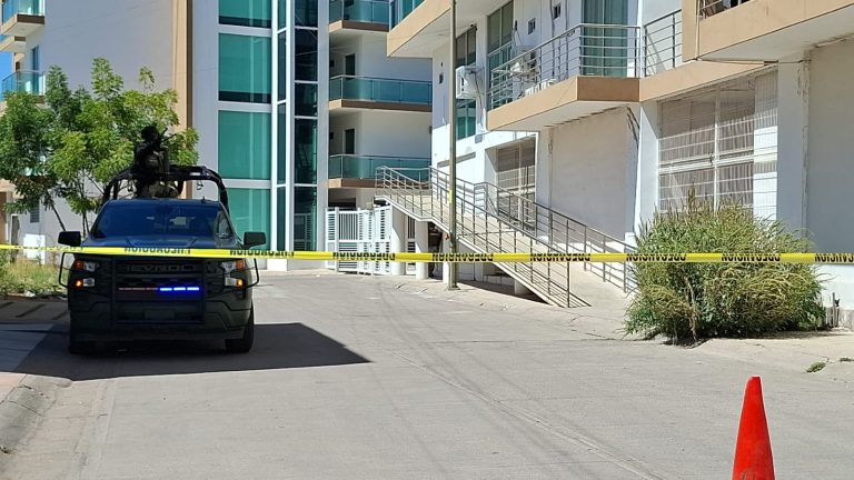 WhatsApp Image 2026-03-12 at 1.24.21 PM