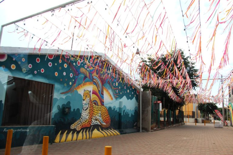 WhatsApp Image 2026-03-12 at 2.56.42 PM