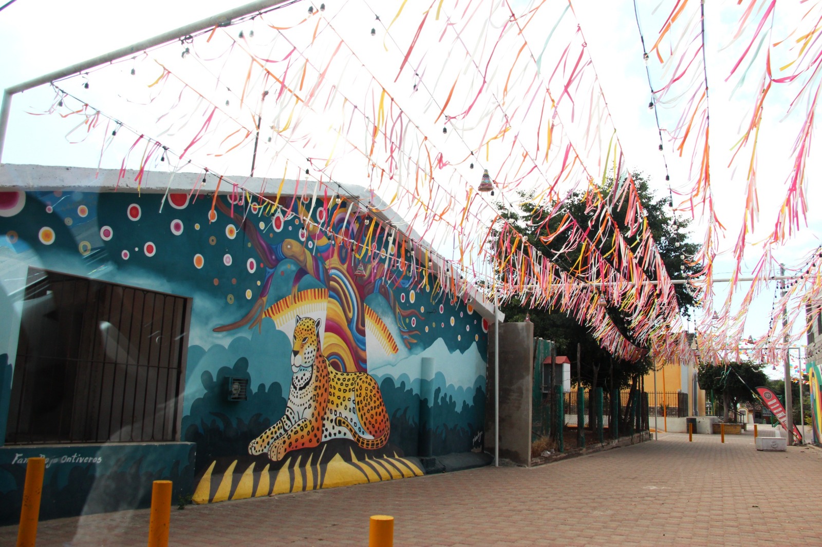 WhatsApp Image 2026-03-12 at 2.56.42 PM