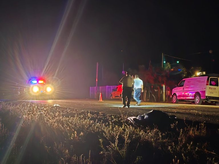 WhatsApp Image 2026-03-14 at 11.25.44 PM