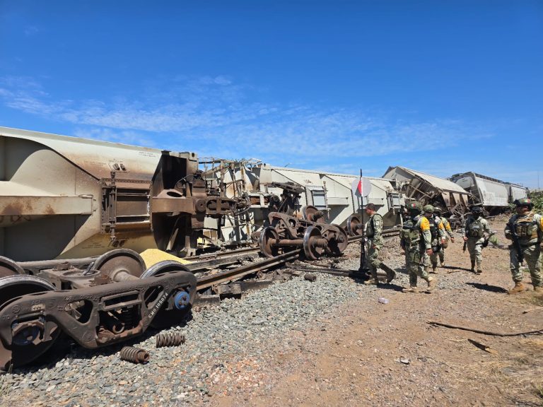 WhatsApp Image 2026-03-15 at 1.23.56 PM