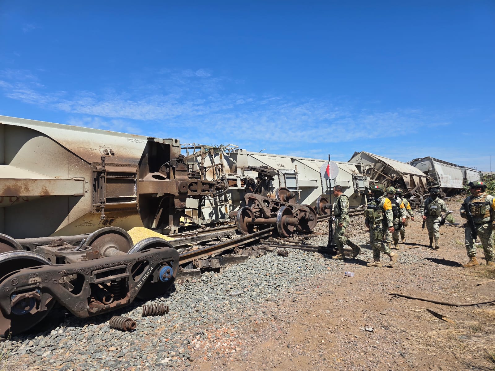 WhatsApp Image 2026-03-15 at 1.23.56 PM