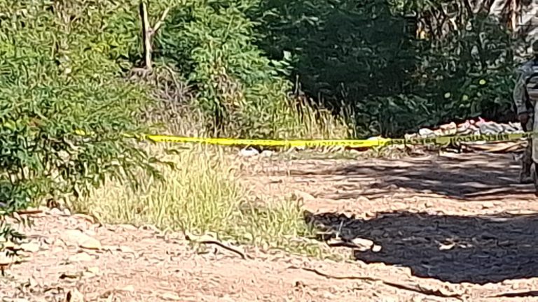 WhatsApp Image 2026-03-16 at 10.41.24 AM