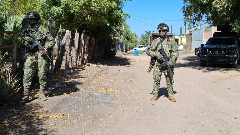 WhatsApp Image 2026-03-19 at 4.02.14 PM