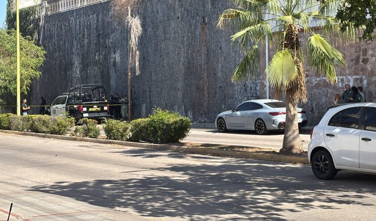 WhatsApp Image 2026-03-24 at 4.18.25 PM