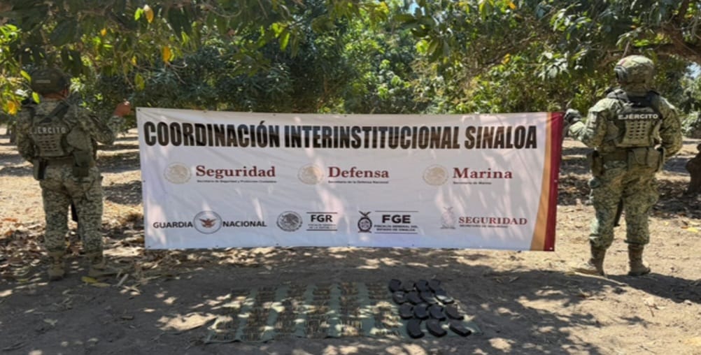 WhatsApp Image 2026-03-25 at 11.02.41 AM