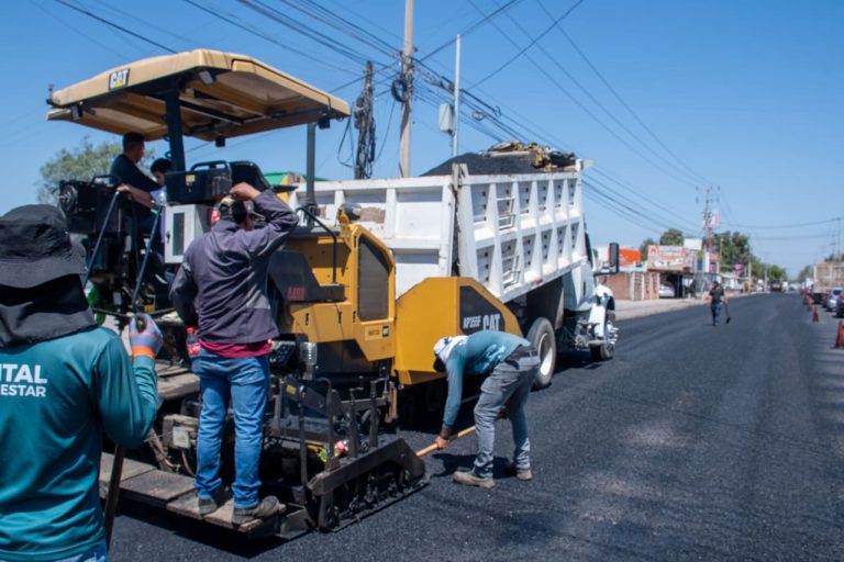 WhatsApp Image 2026-03-25 at 6.19.07 PM