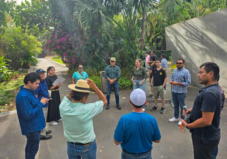 96c3210d-4683-4581-9695-3460b881cb13