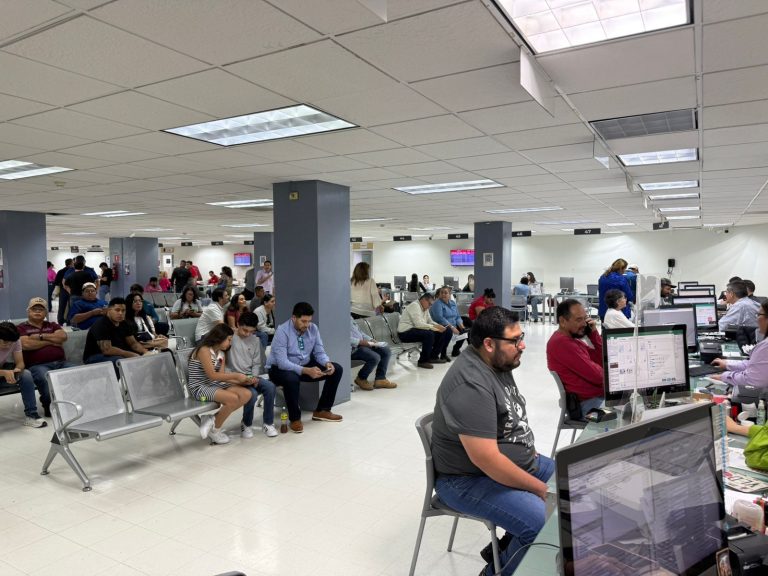 WhatsApp Image 2026-03-31 at 7.41.46 PM