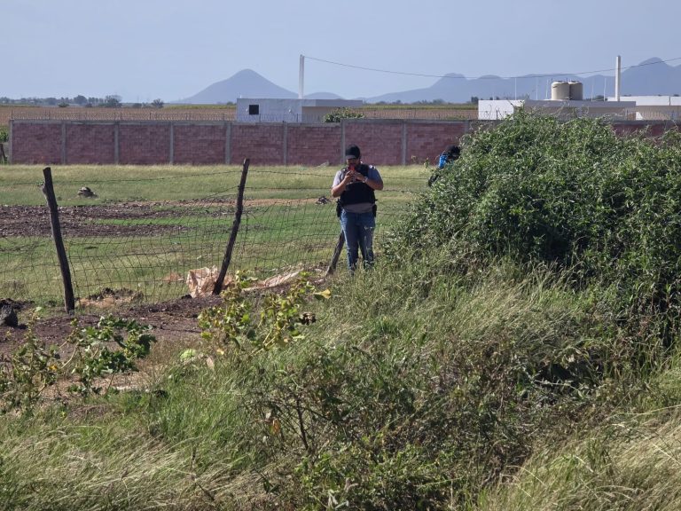 WhatsApp Image 2026-04-01 at 4.30.22 PM