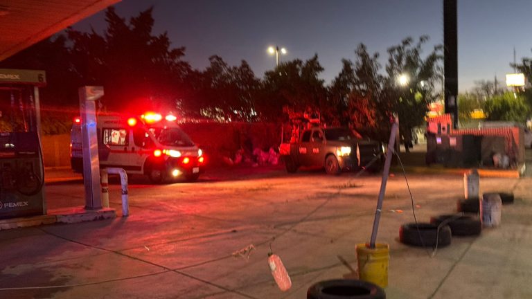 WhatsApp Image 2026-04-08 at 10.26.00 PM