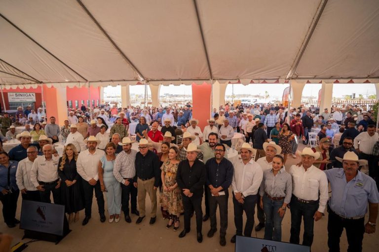 WhatsApp Image 2026-04-24 at 3.58.20 PM (1)