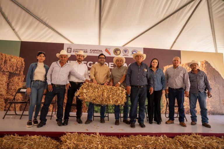 WhatsApp Image 2026-04-27 at 4.01.30 PM