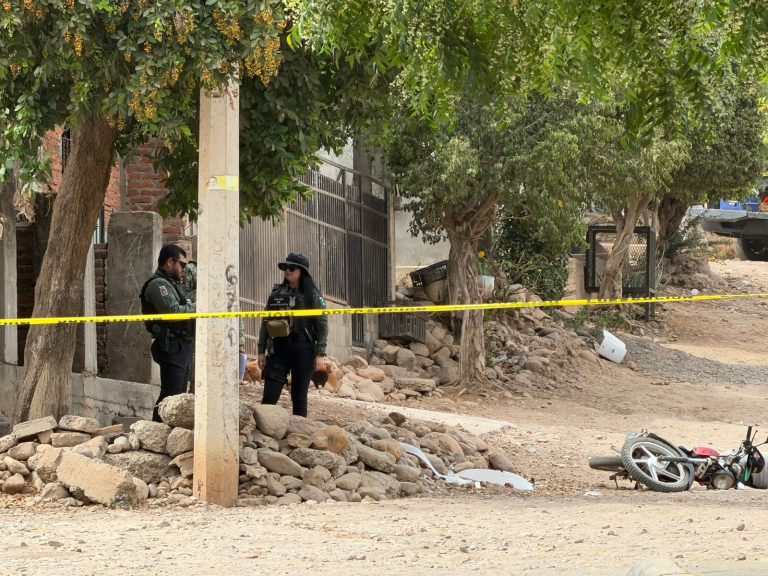 WhatsApp Image 2026-04-29 at 4.14.36 PM