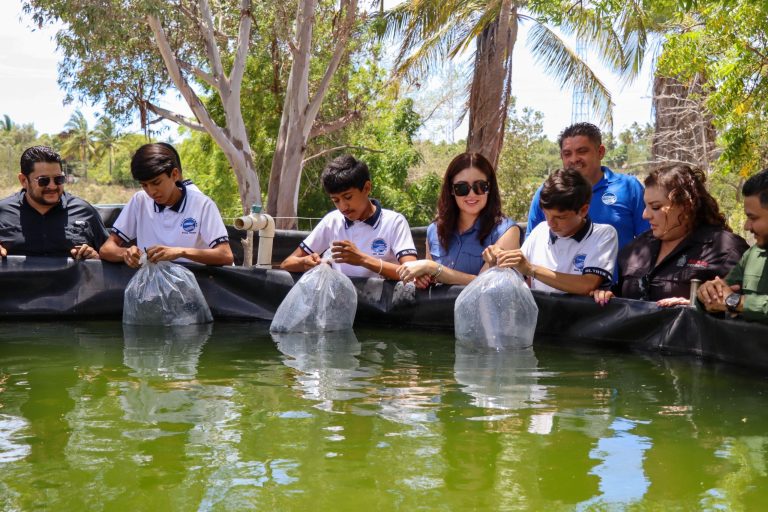 WhatsApp Image 2026-04-29 at 8.34.25 AM