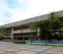 palo