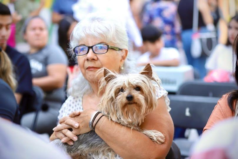 perro